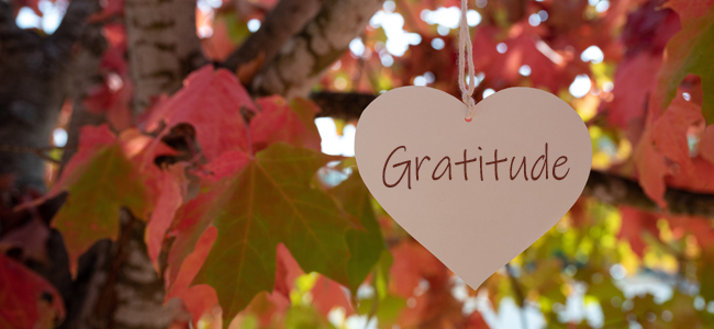 Can Gratitude Make you Feel Better About Your Money?