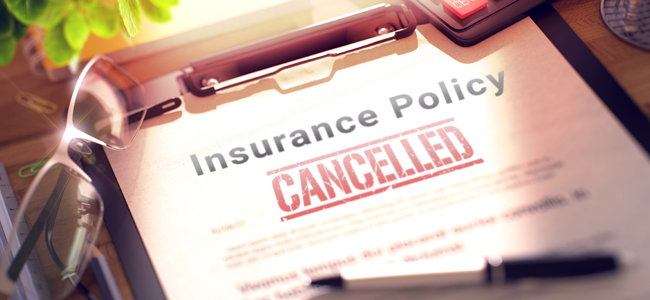 Three Reasons an Insurer Could Cancel Your Policy